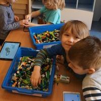 ROBOTYKA DLA SEZAMKA (13)