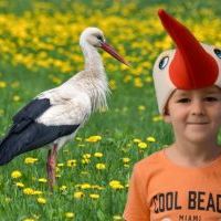 FOTOGRAFICZNE EFEKTY (2)