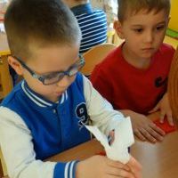 NARODOWE MOTYLKI (9)