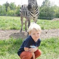 SEZAMKI W ALPAKARNI (14)