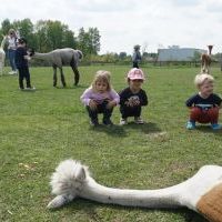 SEZAMKI W ALPAKARNI (1)