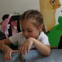 ALPAKI Z GLINY (15)