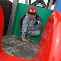 ZABAWA Z ALPAKAMI W TLE (11)