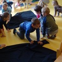 MRÓWKA ZA MRÓWKĄ (8)