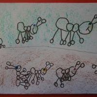 MRÓWKI (5)