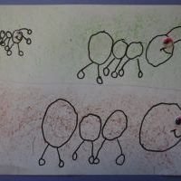 MRÓWKI (6)