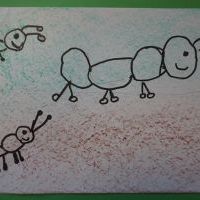 MRÓWKI (7)