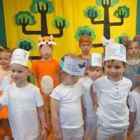 LEŚNA PRZESYŁKA (15)