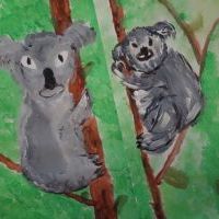 MIŚ KOALA (1)