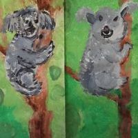 MIŚ KOALA (2)