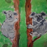 MIŚ KOALA (3)
