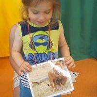 LATO W DŻUNGLI Z PAPUGĄ TRUSKAWKĄ (10)