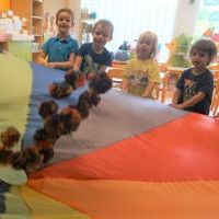 WIELOKOLOROWE LATO (3)