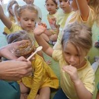 DZIEŃ CUKINII (15)
