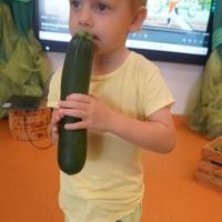 DZIEŃ CUKINII (7)