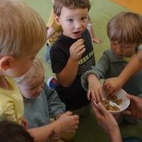 DZIEŃ CUKINII (17)
