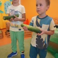 DZIEŃ CUKINII (20)