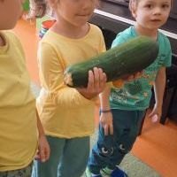 DZIEŃ CUKINII (17)