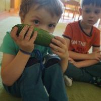 DZIEŃ CUKINII (20)