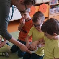 DZIEŃ CUKINII (7)
