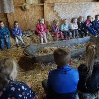 NIEZŁE ZIÓŁKA. KOCHAMY ZWIERZĄTKA (5)
