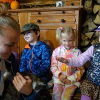 NIEZŁE ZIÓŁKA. KOCHAMY ZWIERZĄTKA (9)