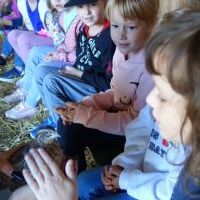 NIEZŁE ZIÓŁKA. KOCHAMY ZWIERZĄTKA (11)