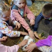 NIEZŁE ZIÓŁKA. KOCHAMY ZWIERZĄTKA (15)