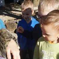 NIEZŁE ZIÓŁKA. KOCHAMY ZWIERZĄTKA (6)