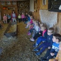 NIEZŁE ZIÓŁKA. KOCHAMY ZWIERZĄTKA (7)