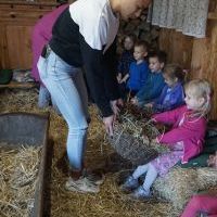 NIEZŁE ZIÓŁKA. KOCHAMY ZWIERZĄTKA (9)
