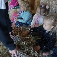 NIEZŁE ZIÓŁKA. KOCHAMY ZWIERZĄTKA (10)