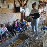 NIEZŁE ZIÓŁKA. KOCHAMY ZWIERZĄTKA (11)