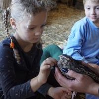 NIEZŁE ZIÓŁKA. KOCHAMY ZWIERZĄTKA (16)