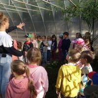 NIEZŁE ZIÓŁKA. W PACHNĄCYM OGRODZIE (6)
