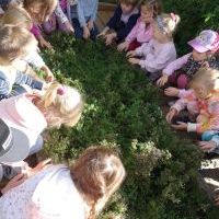 NIEZŁE ZIÓŁKA. W PACHNĄCYM OGRODZIE (7)