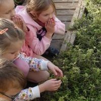 NIEZŁE ZIÓŁKA. W PACHNĄCYM OGRODZIE (8)