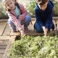 NIEZŁE ZIÓŁKA. W PACHNĄCYM OGRODZIE (9)