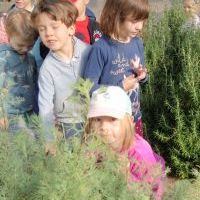 NIEZŁE ZIÓŁKA. W PACHNĄCYM OGRODZIE (12)