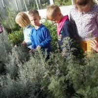 NIEZŁE ZIÓŁKA. W PACHNĄCYM OGRODZIE (9)