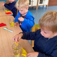 POMARAŃCZOWA JESIEŃ (11)