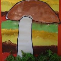 NA GRZYBY (6)