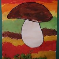 NA GRZYBY (9)