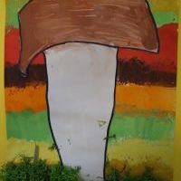 NA GRZYBY (10)
