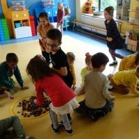 RYTMIKA W JESIENNYM LESIE (7)