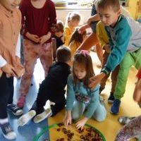 RYTMIKA W JESIENNYM LESIE (9)