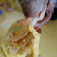 RYTMIKA W JESIENNYM LESIE (5)