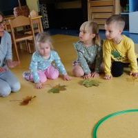 RYTMIKA W JESIENNYM LESIE (7)