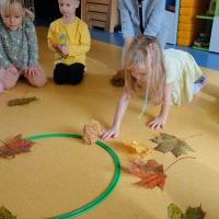 RYTMIKA W JESIENNYM LESIE (8)