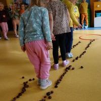 RYTMIKA W JESIENNYM LESIE (4)
